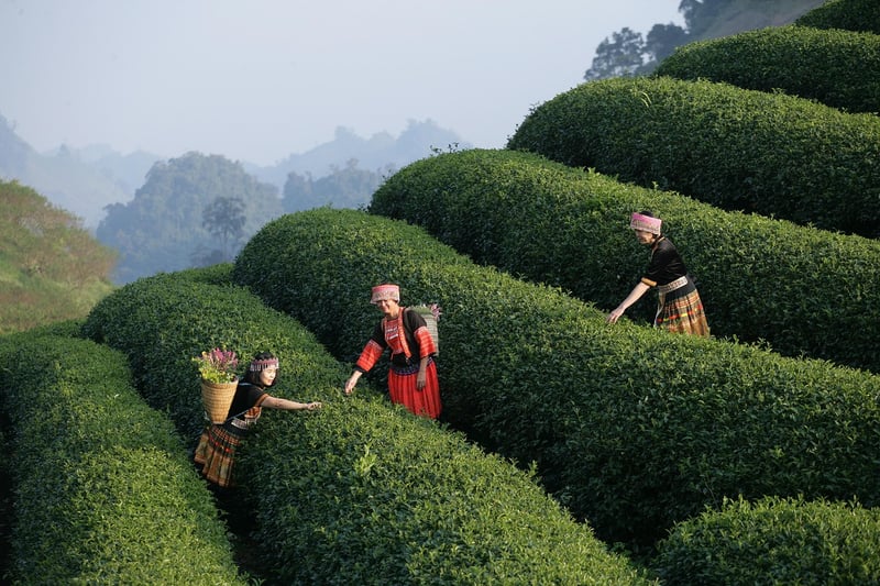 Sensory dining experiences